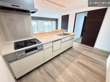 �L�b�`�� ��Ƃ����₷���V�X�e���L�b�`���ł��I���[���t���Ă���̂ŁA�����X�y�[�X�ɕ���u���Ȃ��čς݂܂��I
�L�X�g���āA���K�ɍ�Ƃ��ł��܂��I