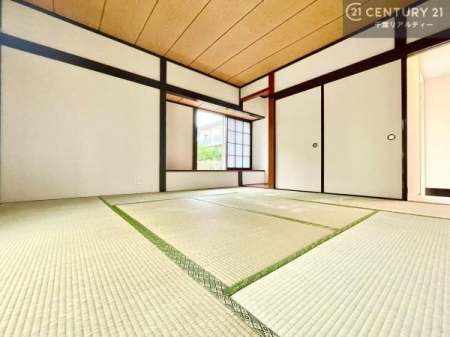 �a�� �^�^�~�̍��肪���炬��^����A�����b�N�X��ԁB�����傫���J�����̂���a���ƂȂ��Ă���܂��B���{�l�̐S������u�a�v�̋�ԁB