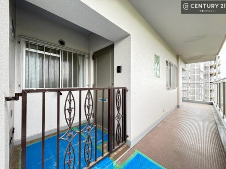 ���̑� ���ւ���o����L���|�[�`�I�~�n�̋��E�����͂����肵�Ă��Ă܂�Ōˌ��āI��Ƃ肪����J���I�ł��ˁI
