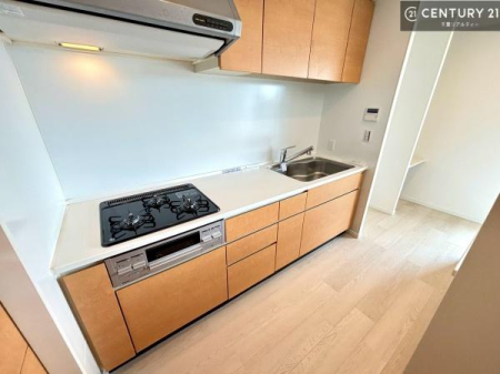 �L�b�`�� ��Ƃ����₷���V�X�e���L�b�`���ł��I���[���t���Ă���̂ŁA�����X�y�[�X�ɕ���u���Ȃ��čς݂܂��I
�L�X�g���āA���K�ɍ�Ƃ��ł��܂��I