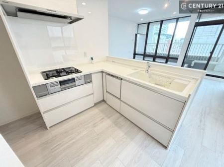 �L�b�`�� L���^�ΖʃL�b�`�����̗p�B��ƃX�y�[�X���L���m�ۂ��Ȃ���A���r���O�ւ̖��͂˂⒲�����̎����ɂ��z�����ꂽ�g������̗ǂ���Ԃł��B