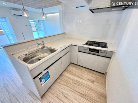 �L�b�`�� ��Ƃ����₷���V�X�e���L�b�`���ł��I���[���t���Ă���̂ŁA�����X�y�[�X�ɕ���u���Ȃ��čς݂܂��I
�L�X�g���āA���K�ɍ�Ƃ��ł��܂��I
