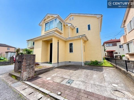 ���̑����n �u���̕����C�ɂȂ�I�v�u�������Ăǂ�ȏ��H�v�u�����Əڂ����m�肽���I�v�Ǝv������A���C�y�ɂ����k���������B
