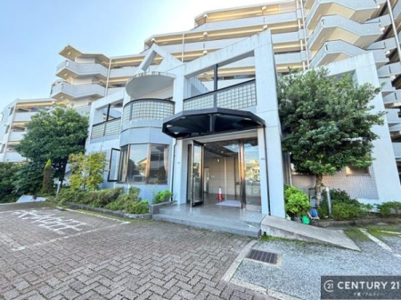 ���̑����n �u���̕����C�ɂȂ�I�v�u�������Ăǂ�ȏ��H�v�u�����Əڂ����m�肽���I�v�Ǝv������A���C�y�ɂ����k���������B