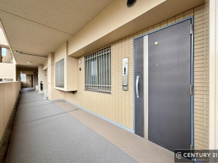 ���̑����p�� �u���̕����C�ɂȂ�I�v�u�������Ăǂ�ȏ��H�v�u�����Əڂ����m�肽���I�v�Ǝv������A���C�y�ɂ����k���������B