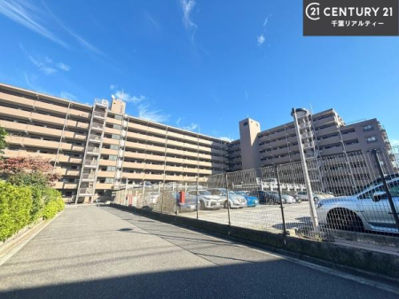 ���̑����n �u���̕����C�ɂȂ�I�v�u�������Ăǂ�ȏ��H�v�u�����Əڂ����m�肽���I�v�Ǝv������A���C�y�ɂ����k���������B