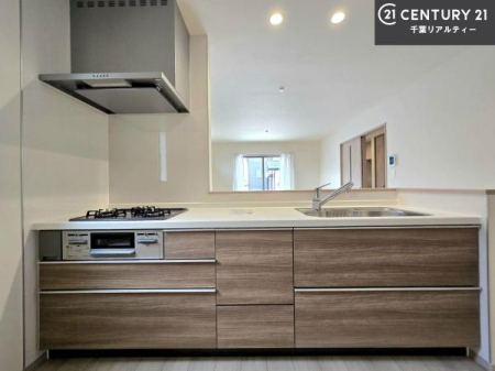 �L�b�`�� ��Ƃ����₷���V�X�e���L�b�`���ł��I���[���t���Ă���̂ŁA�����X�y�[�X�ɕ���u���Ȃ��čς݂܂��I
�L�X�g���āA���K�ɍ�Ƃ��ł��܂��I