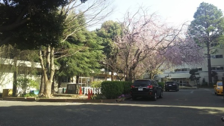 周辺環境 【中学校】船橋市立習志野台中学校：929㎡