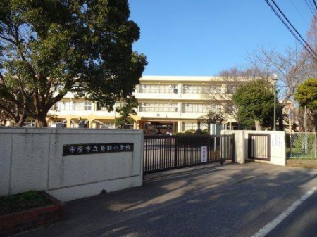 周辺環境 【小学校】市原市立菊間小学校：1845㎡