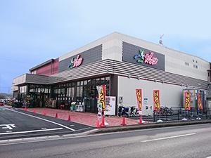 周辺環境 【スーパー】スーパーガッツ姉崎店：1025㎡