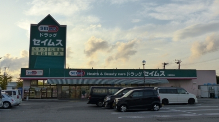 周辺環境 【ドラッグストア】ドラッグセイムス木更津岩根店：225㎡