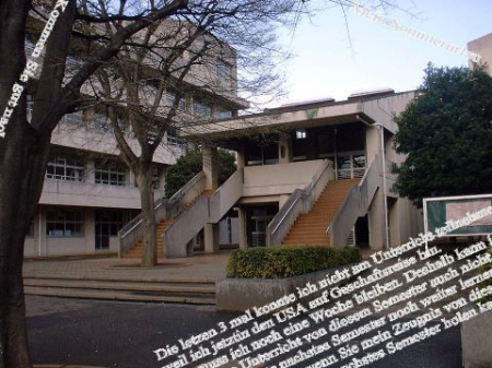 周辺環境 【中学校】袖ケ浦市立昭和中学校：1100㎡